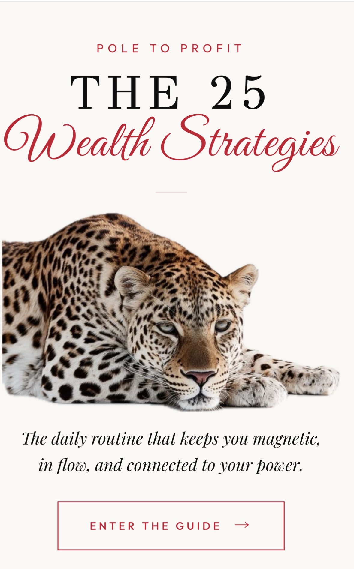 The 25 Wealth Strategies